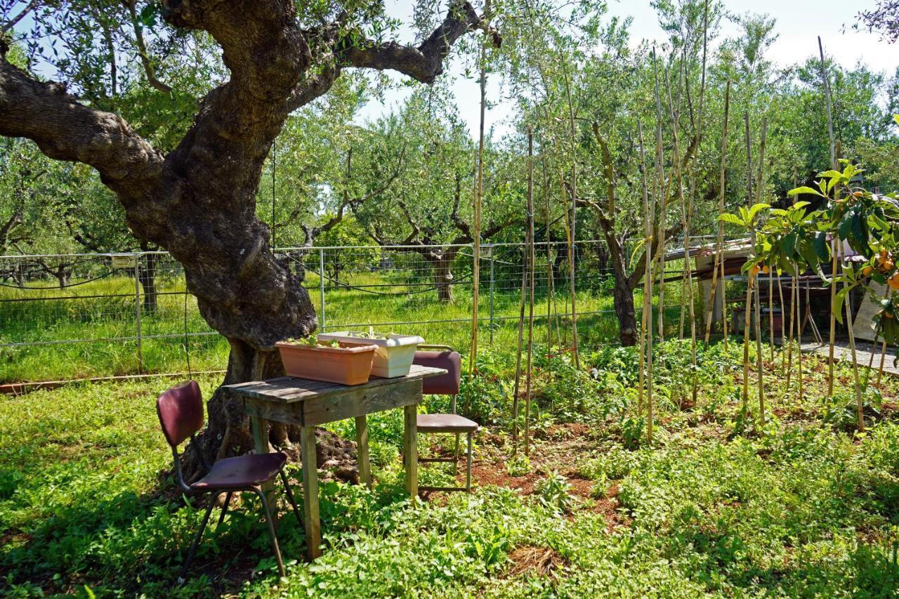Willa Veni Olive House Kalamata Zewnętrze zdjęcie