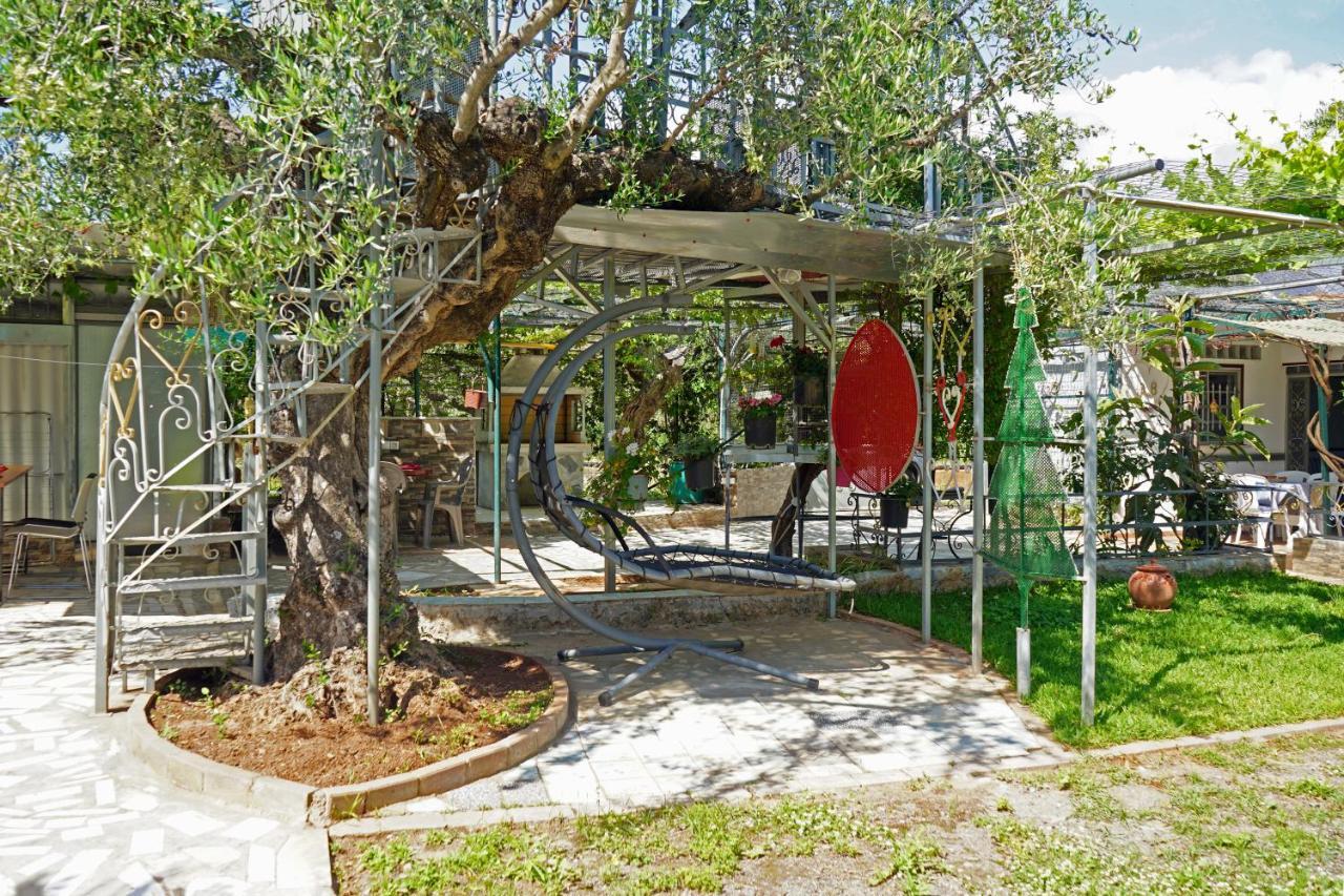 Willa Veni Olive House Kalamata Zewnętrze zdjęcie