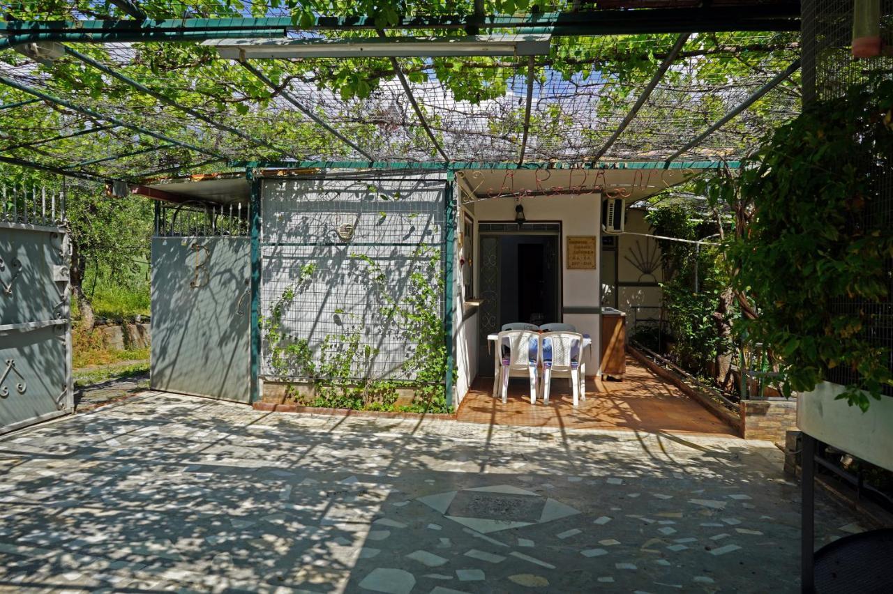 Willa Veni Olive House Kalamata Zewnętrze zdjęcie