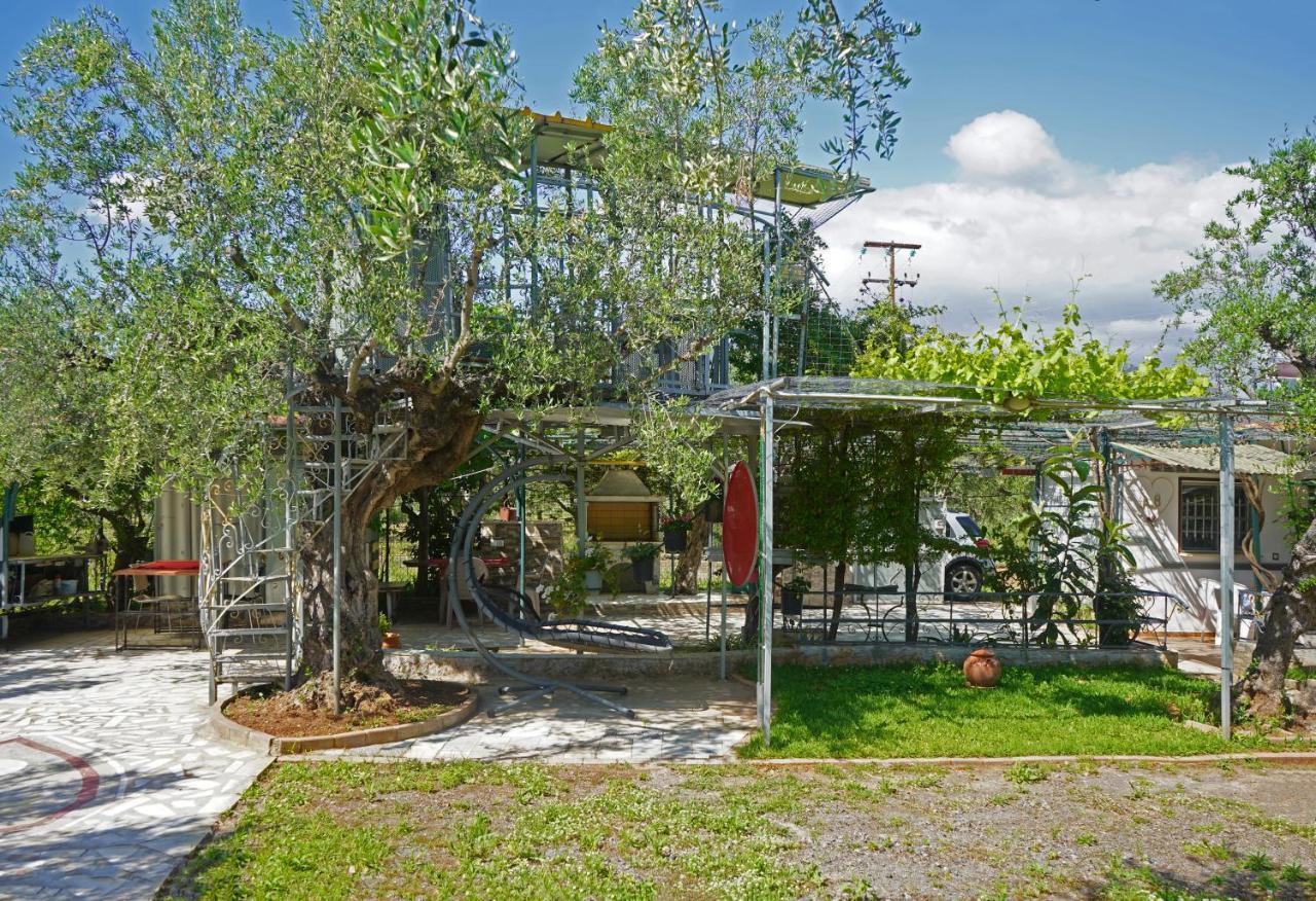 Willa Veni Olive House Kalamata Zewnętrze zdjęcie