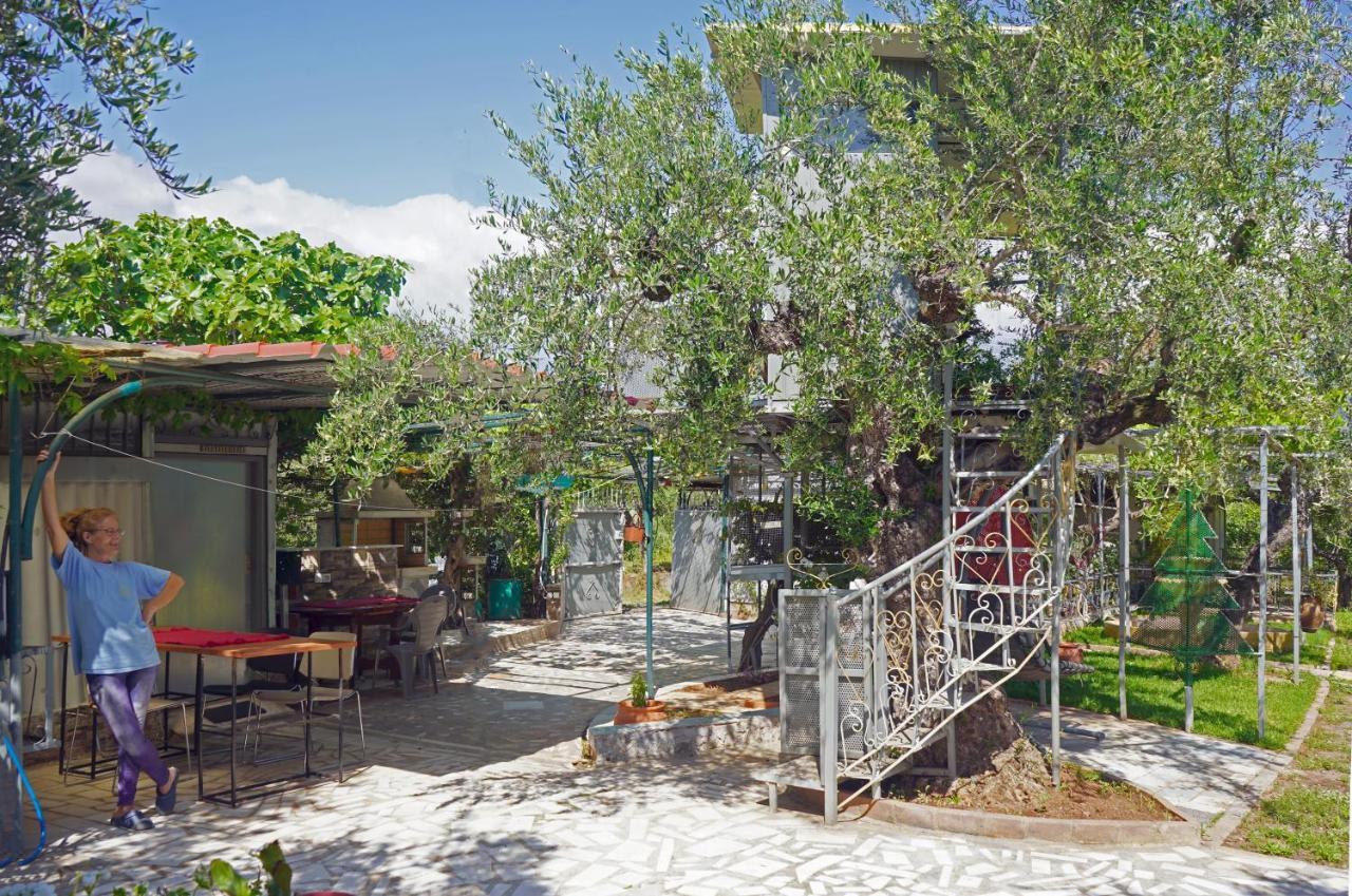 Willa Veni Olive House Kalamata Zewnętrze zdjęcie