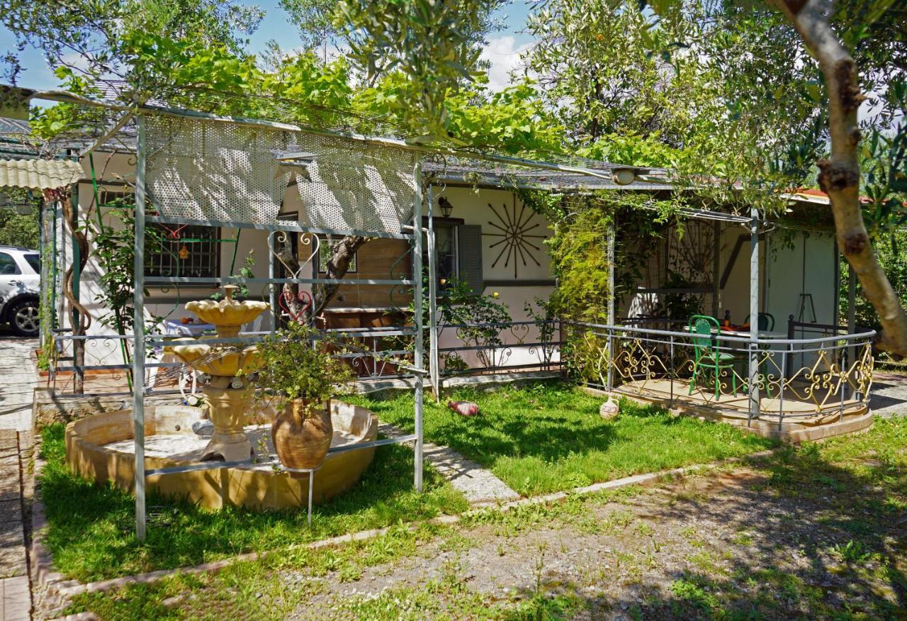 Willa Veni Olive House Kalamata Zewnętrze zdjęcie