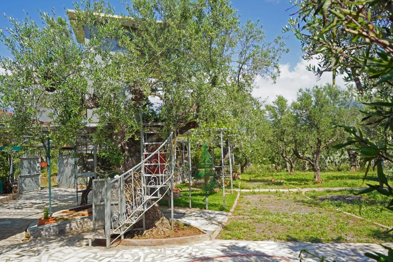 Willa Veni Olive House Kalamata Zewnętrze zdjęcie