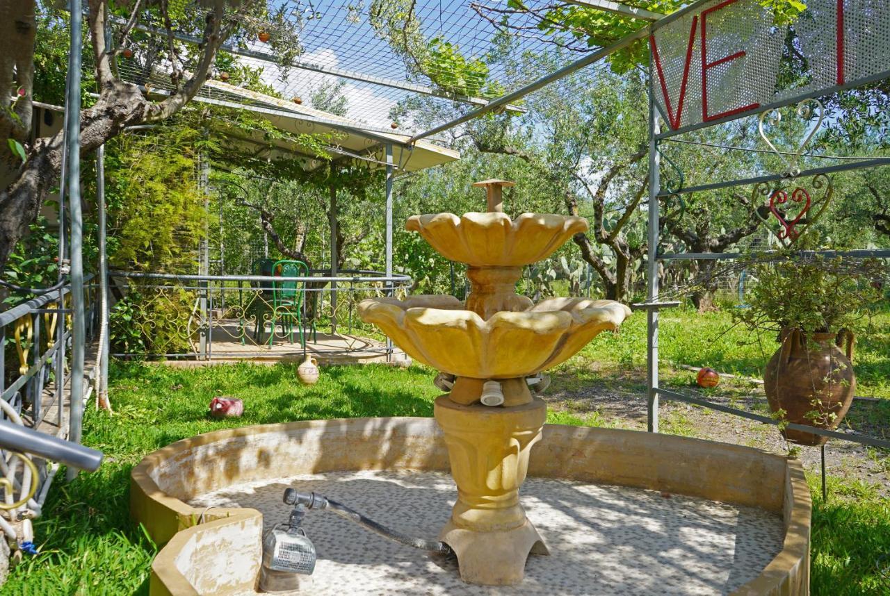 Willa Veni Olive House Kalamata Zewnętrze zdjęcie